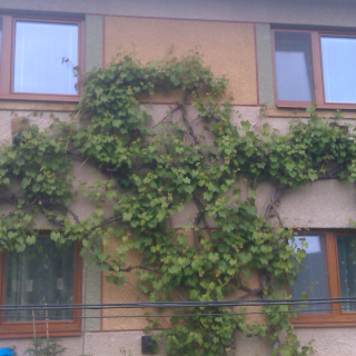 Reference Brezno Reference Brezno