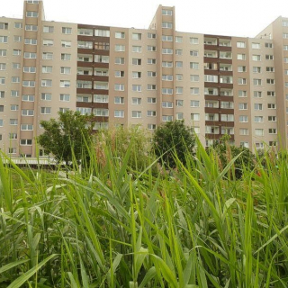 Reference Nováky Reference Nováky